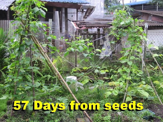  photo 57IMG_0383_zpsd69fdbe4.jpg